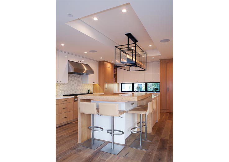 Modern House Kitchen